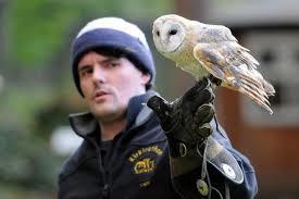 Kirkleatham Owl Center